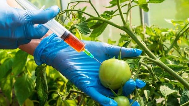 Limitlerin Üzerinde Zirai İlaç Kalıntısı Bulunan Gıdanın Satışını Yapan Sanığa Dava Zamanaşımı Süresinin Dolması Halinde Ceza Verilebilir mi - Kayseri Ceza Avukatı - Kayseri Ağır Ceza Avukatı - Zülküf Arslan Hukuk Bürosu 0352 222 1661